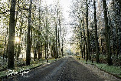 Dunston_Hall_Norwich_wedding_photographer_6729.jpg