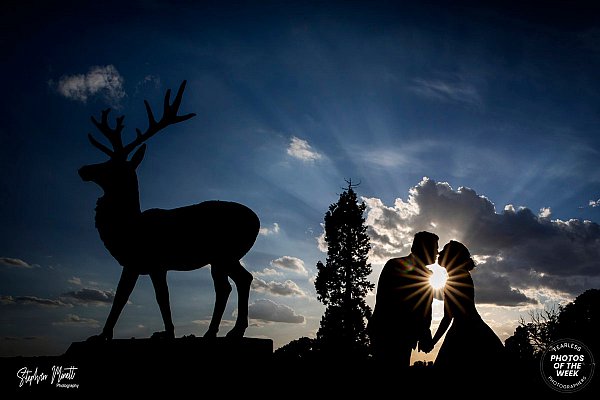 Sunset wedding portraits at Gosfield Hall in Essex